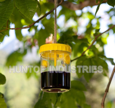 Yellow Jacket Wasp and Hornet Traps